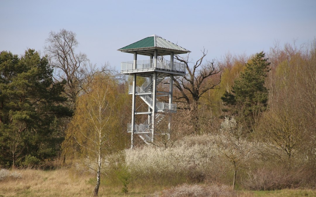Wieża obserwacyjna Hellberg, © Ralf Koch