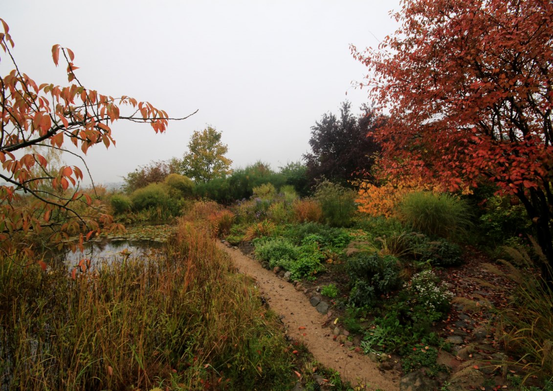 Autumn at the S&uuml;ndenborn // &copy; Claus Gering
