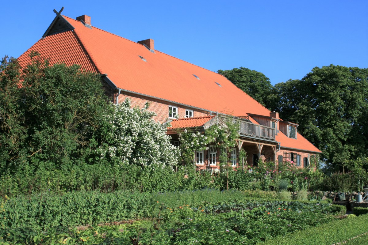 Vegetable garden with old cultivated plants. // &copy; Dirk Endrulat