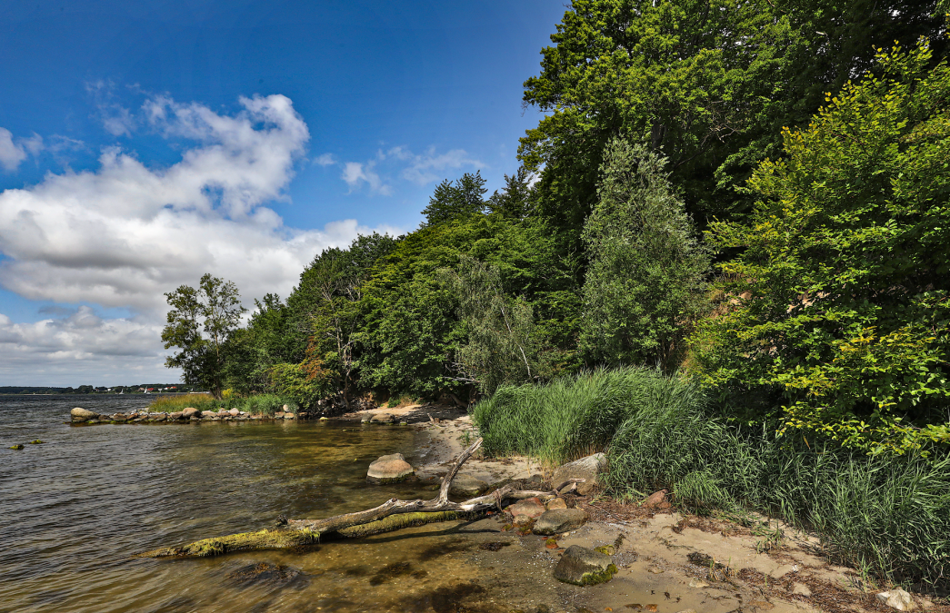 ścieżka-muszenia-i-rozpoznania_4, © TMV/Gohlke