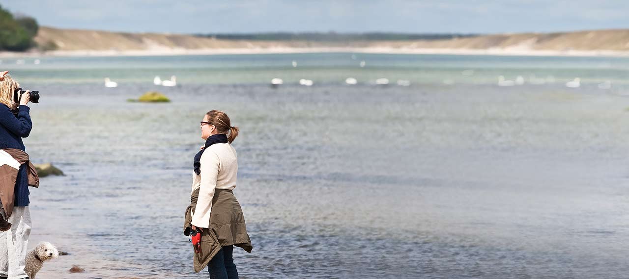 ActiveHolidayLietzow, &copy; G&auml;stehaus Lietzow & St&ouml;rtebeker Camp