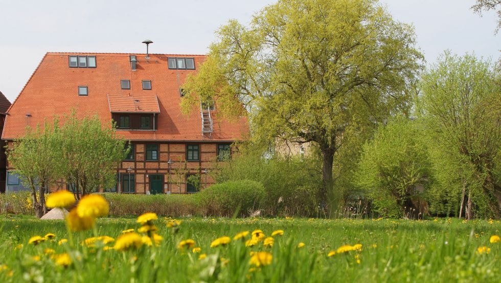 De 200 jaar oude Schwaan watermolen huisvest een tentoonstelling van schilderijen die zeker de moeite waard is, © VMO Danny Gohlke