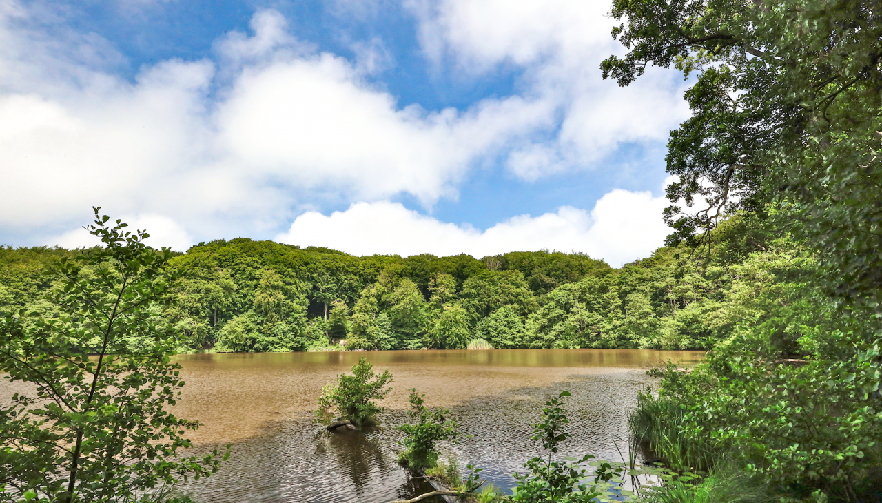 herthasee_3, © TMV/Gohlke