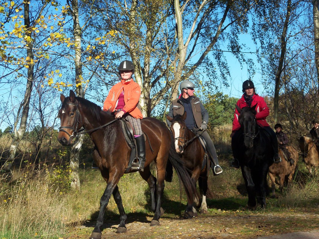 Rider on Hiddensee, © Annett Striesow Rider on Hiddensee, © Annett Striesow