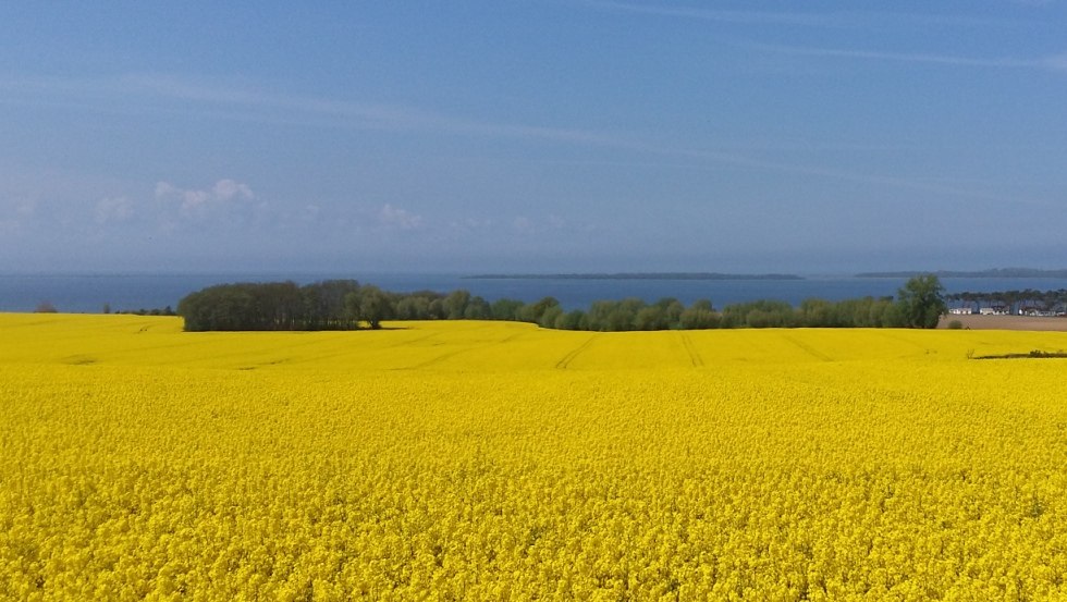 Vakantie midden in de natuur aan de Mecklenburgse Oostzeekust, © Ferienresidenz Am Salzhaff