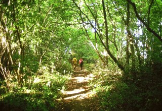 &copy; Biosph&auml;renreservatsamt S&uuml;dost-R&uuml;gen