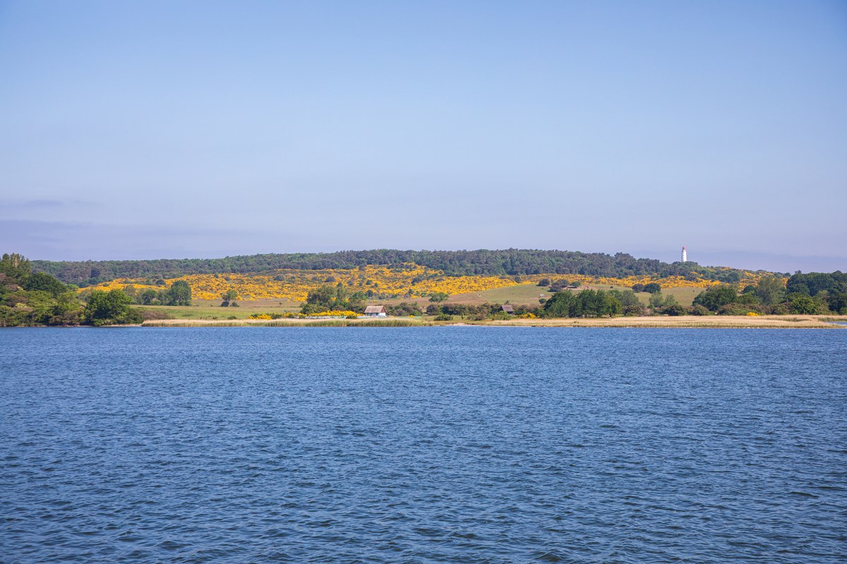 &copy; Wei&szlig;e Flotte