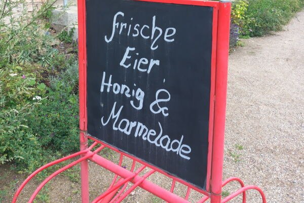 20230725_115958-26a9543c, © Rundbus Plauer See 20230725_115958-26a9543c, © Rundbus Plauer See