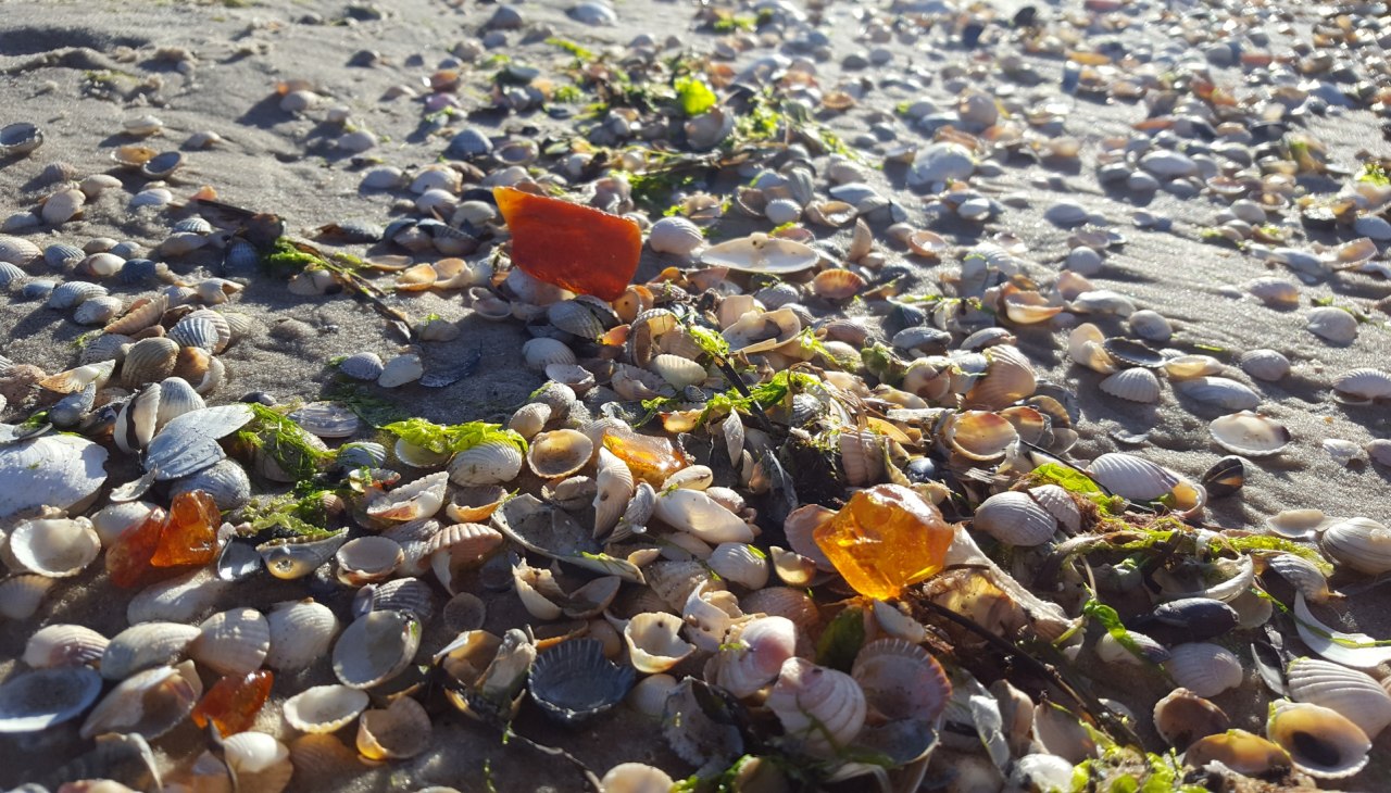 UV amber zoeken in het donker, © Mitarbeiter3 UV amber zoeken in het donker, © Mitarbeiter3