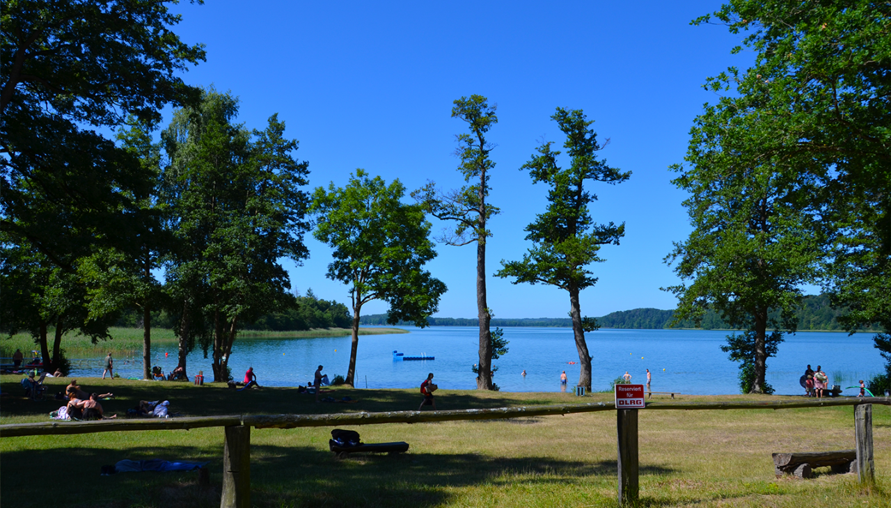 2_BROITER LUZIN - PLAŻA LICHTENBERG, &copy; Martin M&ouml;ller