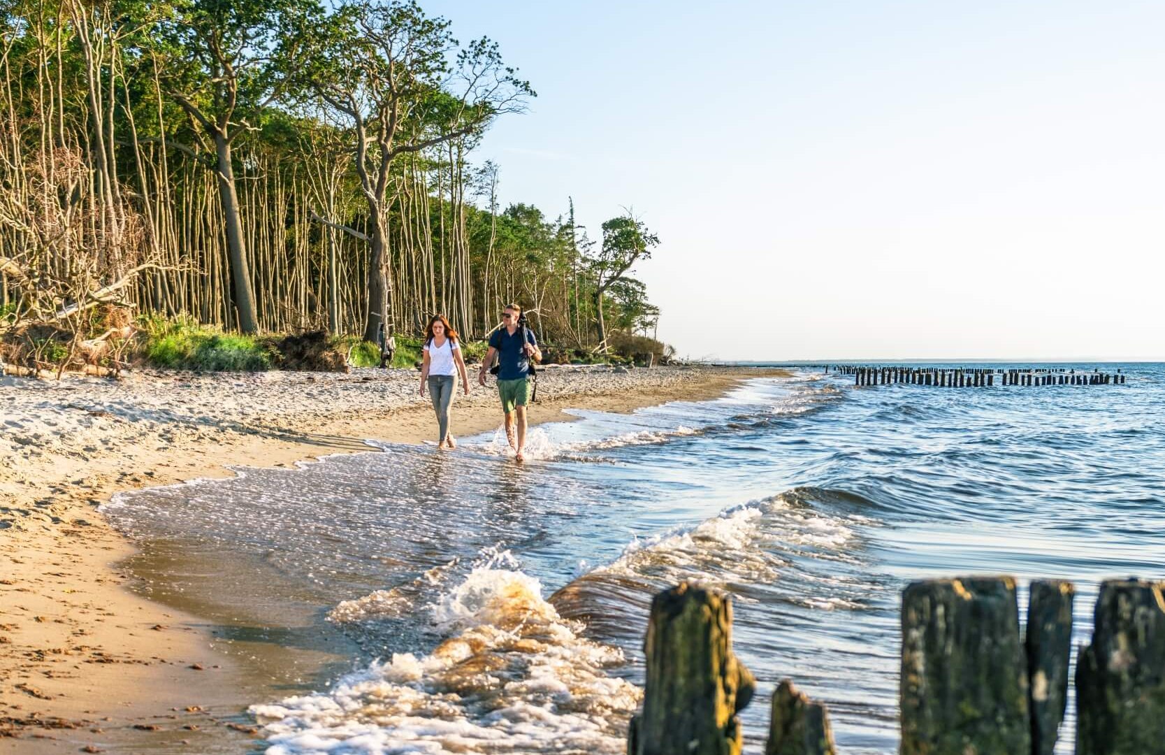 ... en presenteert het strand tussen Kühlungsborn en Heiligendamm in steeds wisselende stemmingen. // © MV-T/Tiemann ... en presenteert het strand tussen Kühlungsborn en Heiligendamm in steeds wisselende stemmingen. // © MV-T/Tiemann