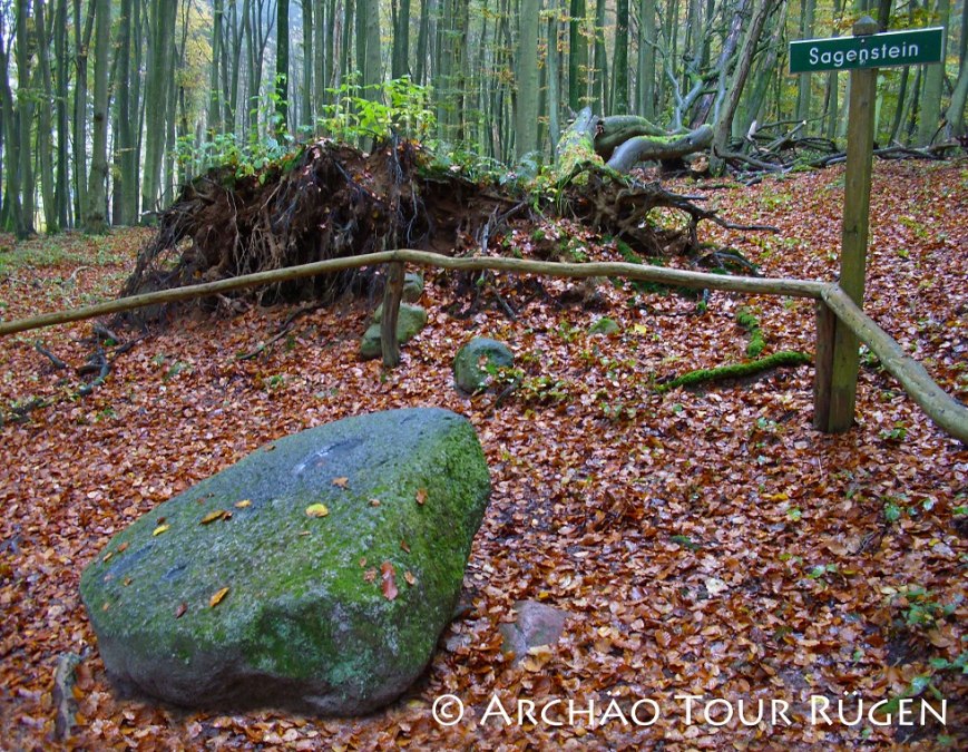 Verborgen in het loofbos ligt de legendarische steen, © Archäo Tour Rügen