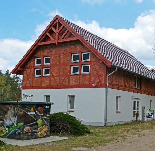 Here you can find information about the beech forest habitat. // © Wiebke Döbbert Here you can find information about the beech forest habitat. // © Wiebke Döbbert