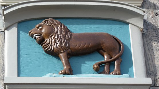 loewe, &copy; Waren (M&uuml;ritz)-Information