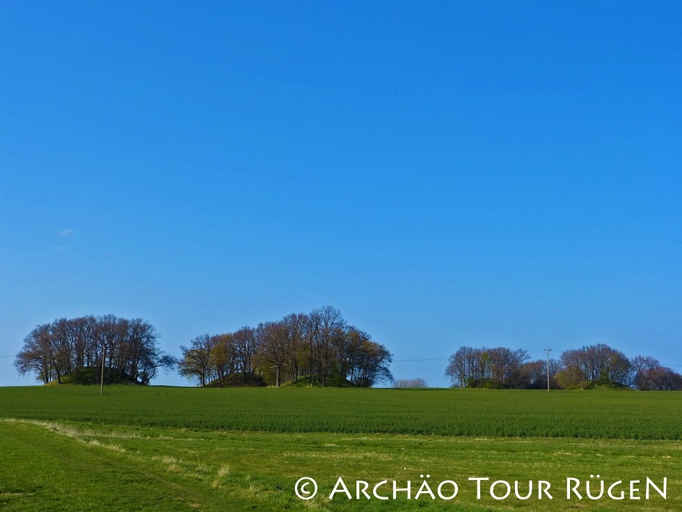 View of the burial mounds "Woorker Berge // &copy; Arch&auml;o Tour R&uuml;gen