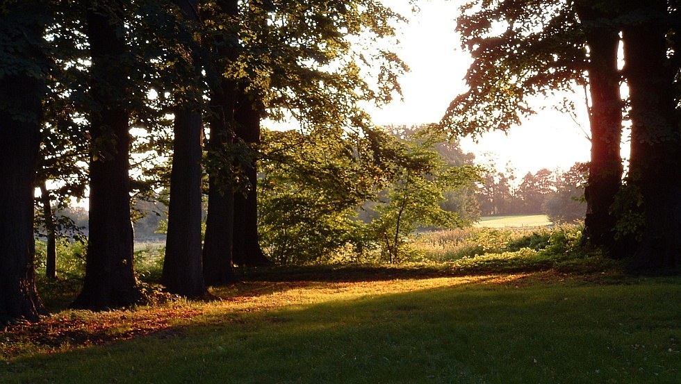 Sunrise in the park // &copy; Barockschlo&szlig; zu Griebenow e.V.