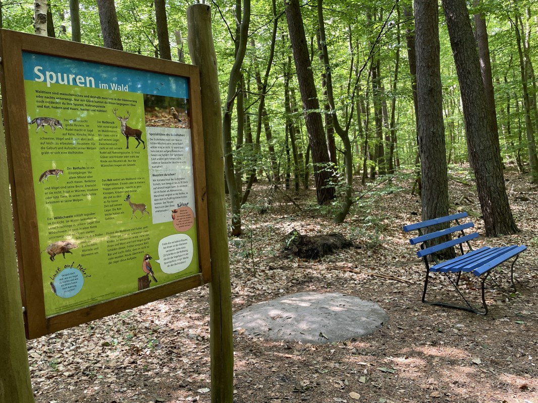 Kto tam szedł? Wyruszamy na poszukiwanie wskazówek! // © TZ Südliche Boddenküste Kto tam szedł? Wyruszamy na poszukiwanie wskazówek! // © TZ Südliche Boddenküste
