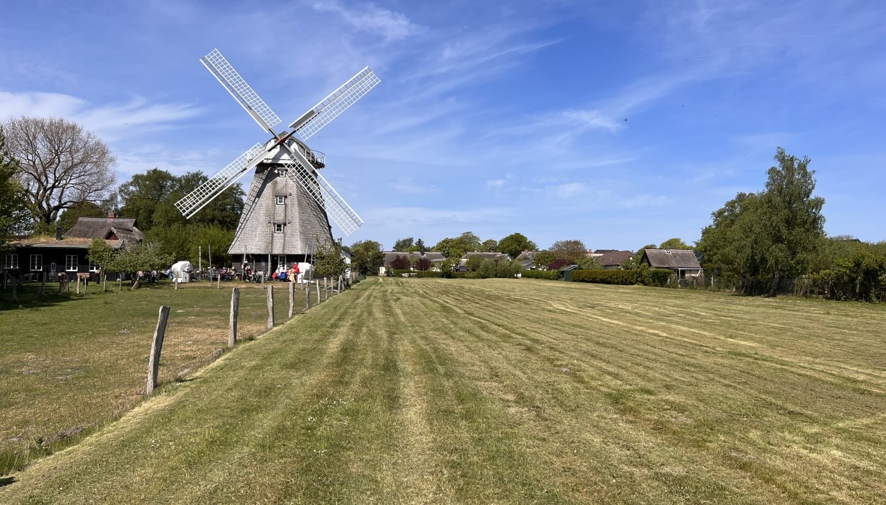 Ahrenshoop Mill, &copy; TV FDZ