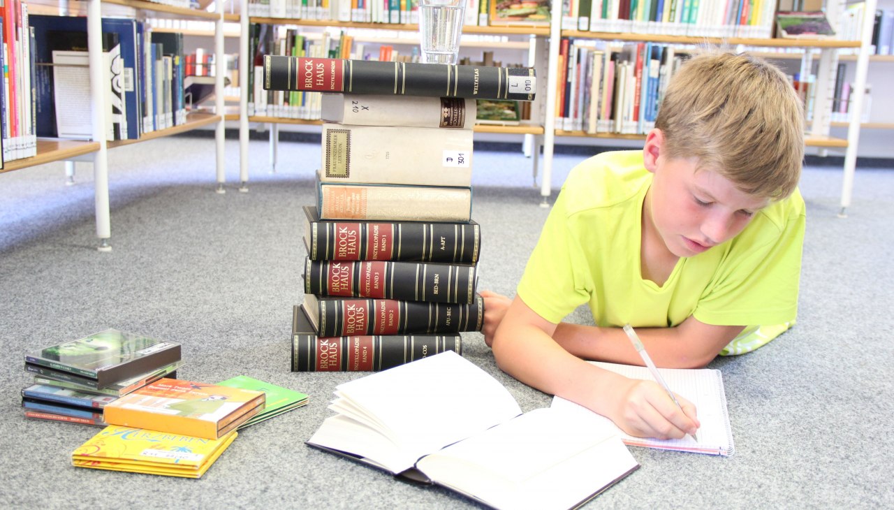 Bibliothek 2, &copy; Julia Gnodtke