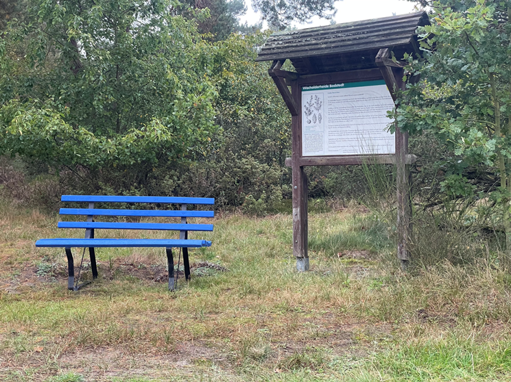 Trzy domki jałowcowe, © TZ Südliche Boddenküste Trzy domki jałowcowe, © TZ Südliche Boddenküste