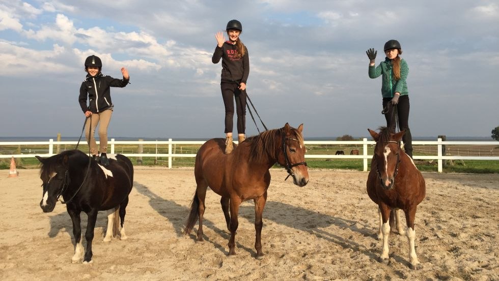 De kalme en zachtaardige paarden van boer Hartmann zijn ideaal voor een atypische rijles., © Bauer Hartmann/ Frauke Beier