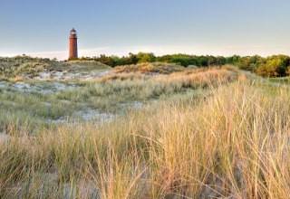 The striking Dar&szlig; lighthouse rises out of the dune landscape near Prerow. Golden dune grass sways in the wind, while the red tower directs your gaze over the vast coastal landscape of the Baltic Sea - a landmark to discover on the Dar&szlig;. // &copy; Francesco Carovillano