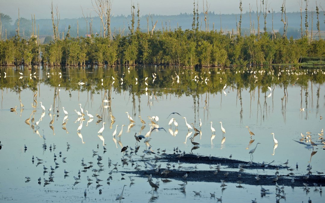 Vennen bij Aalbude
Ten noorden van het Kummerowmeer, © Inka Oehmcke