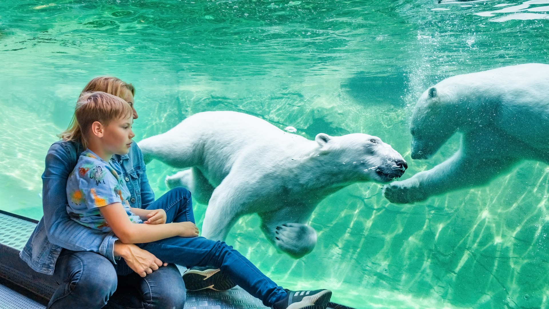 Matka siedzi z dzieckiem przy szybie. Pokazuje basen, w którym pływają niedźwiedzie polarne w zoo w Rostocku.