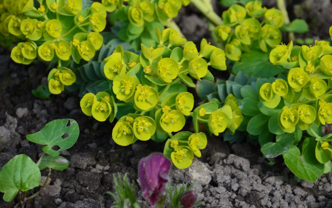 Ontdek de natuur, © Tourismusverband Vorpommern e.V.
