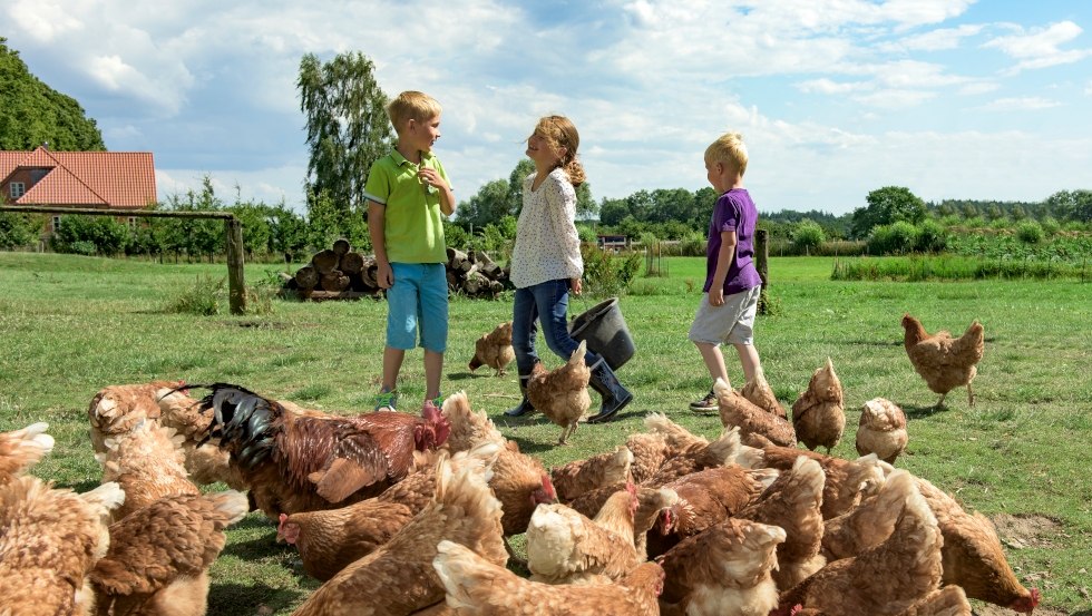 Drie kinderen lachen samen terwijl ze kippen voeren., © TMV/Ulrich