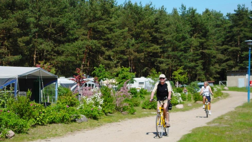 Standplaatsen voor caravans en campers // © Natur Camping Usedom Standplaatsen voor caravans en campers // © Natur Camping Usedom
