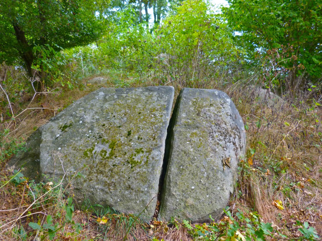 &copy; Arch&auml;o Tour R&uuml;gen