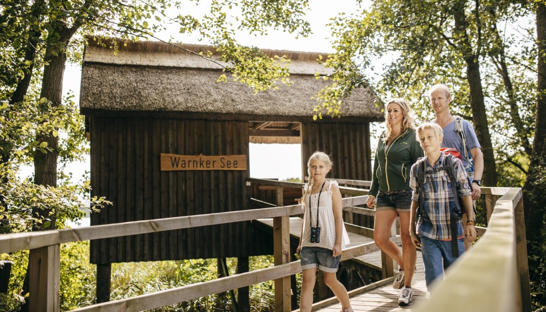 En familie går over en træbro hen til en hytte med stråtag; en pige har en kikkert hængende om halsen. // Knirkende træplanker, raslende løv: Ved Warnker-søen i Müritz-nationalparken udforsker familier gangbroen, der fører hen til hytten med stråtag. // © MV-T/Roth En familie går over en træbro hen til en hytte med stråtag; en pige har en kikkert hængende om halsen.