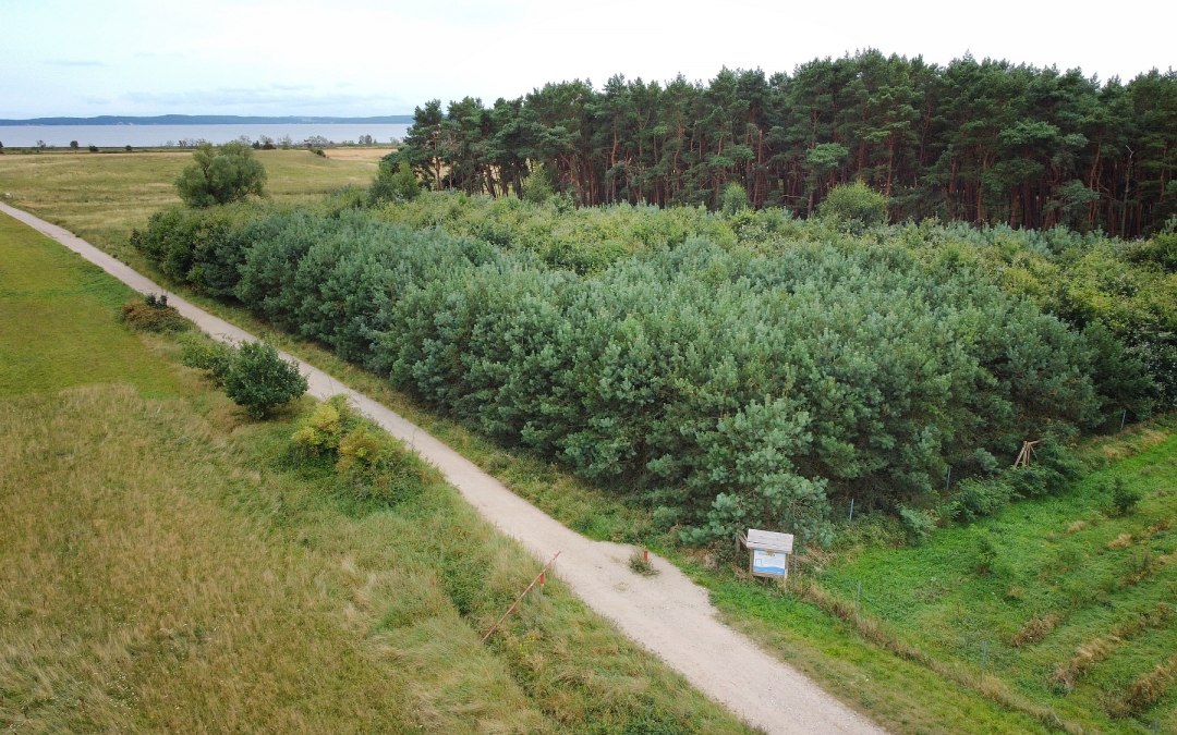 DJI_0640-klein, © Landesforst MV