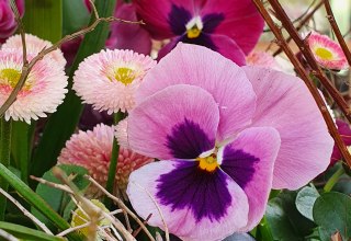 &copy; B&Auml;RENWALD M&uuml;ritz | Manuela Klier