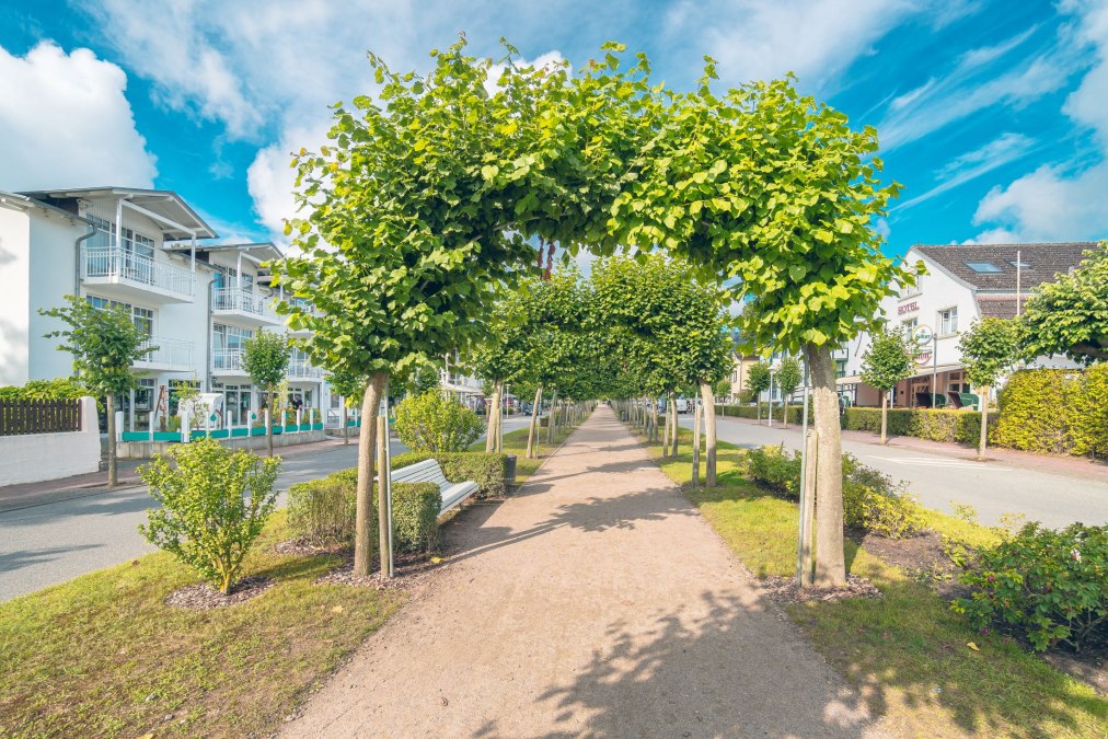 Historische rondleiding (Neu-Baabe), © Kurverwaltung Ostseebad Baabe Historische rondleiding (Neu-Baabe), © Kurverwaltung Ostseebad Baabe