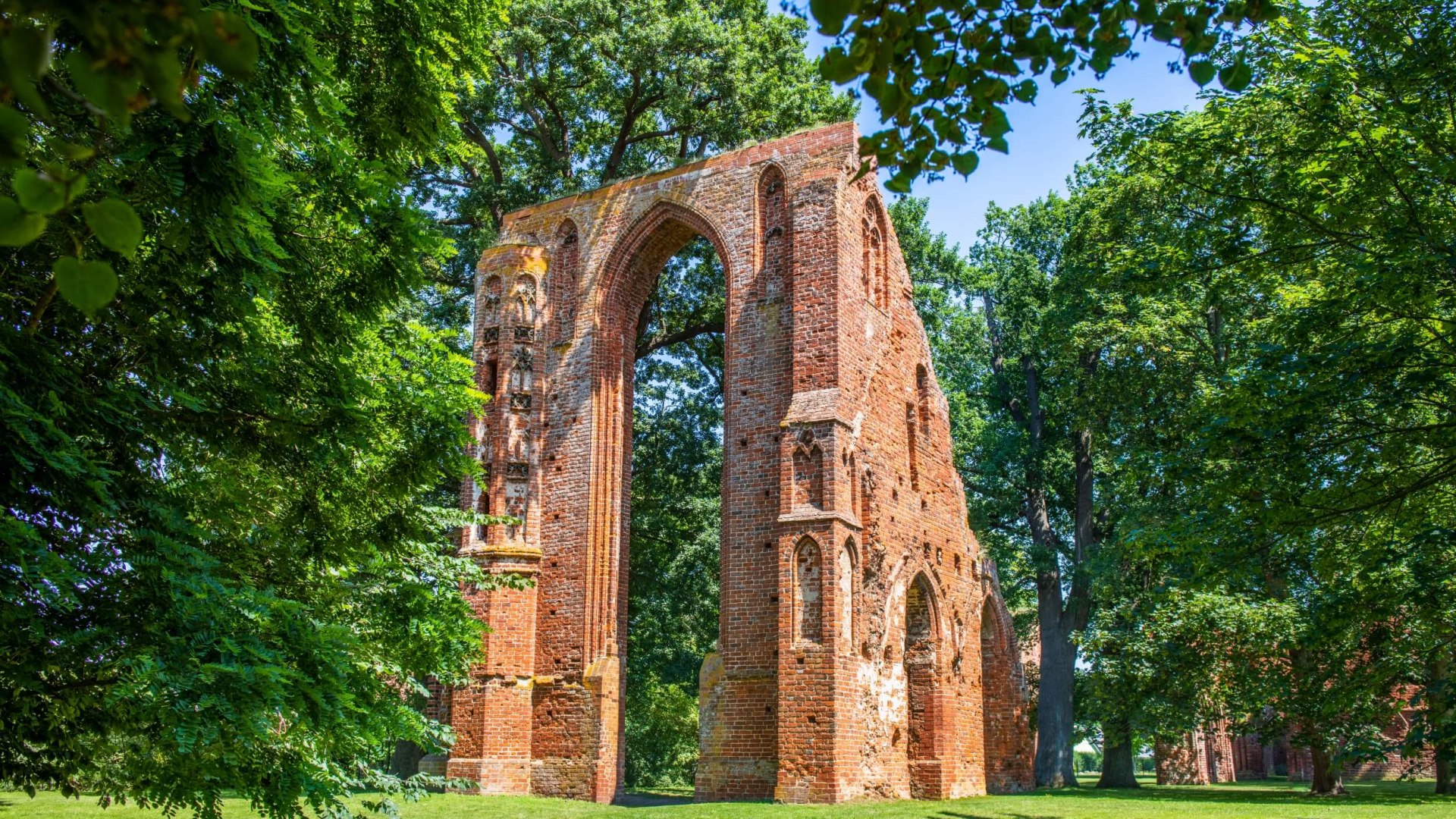 De kloosterruïnes in Eldena staan tussen de bomen in de zon bij Greifswald.