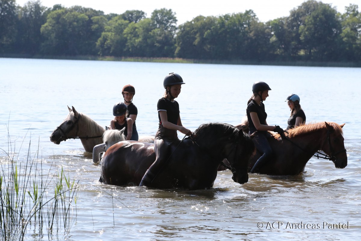 At the horse farm Zislow it is possible to ride a horse into the water. // &copy; TMV / ACP Pantel