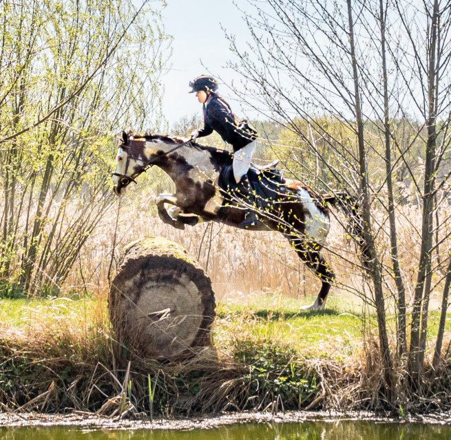 Baltic Sea Horse Hunt // © Martha Eugenia Bende Baltic Sea Horse Hunt // © Martha Eugenia Bende