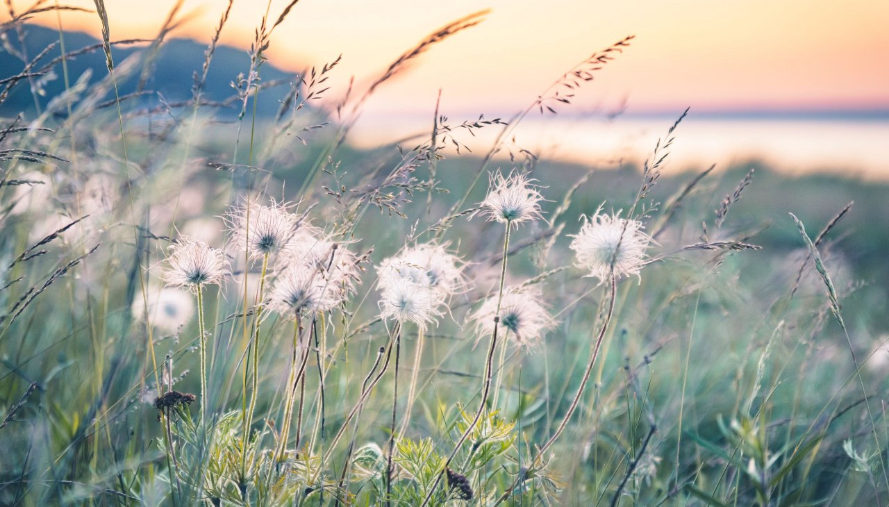Spacer okiem po Morzu Bałtyckim