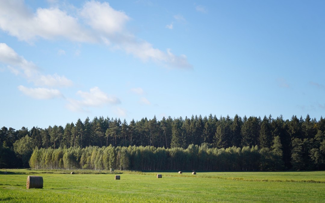 DSC00369, © Landesforst MV