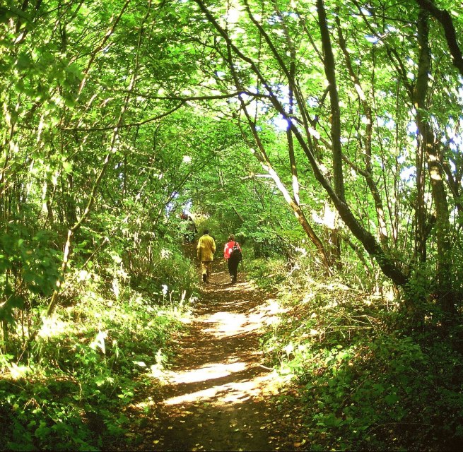 &copy; Biosph&auml;renreservatsamt S&uuml;dost-R&uuml;gen