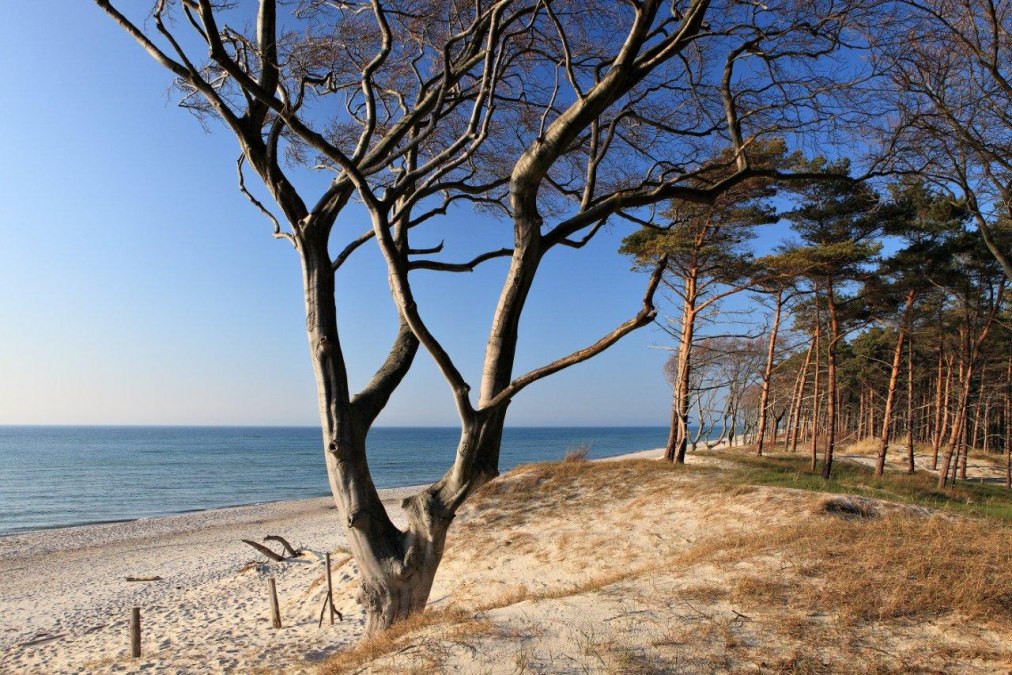 Zachodnia plaża, © TV FDZ