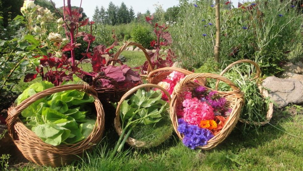 Een tuinoogst, © Ute Linke