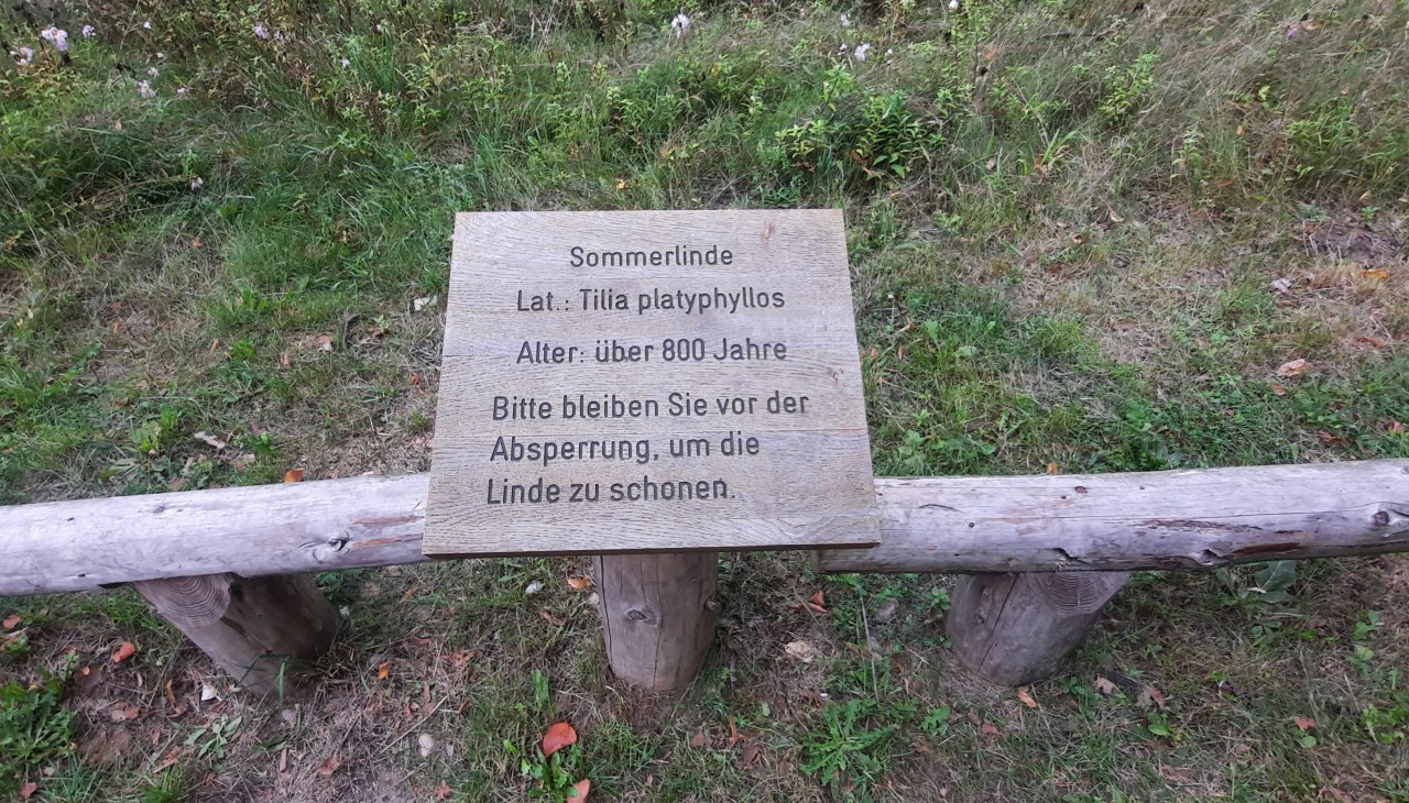 Płyta wapienna, © Waren (Müritz)-Information