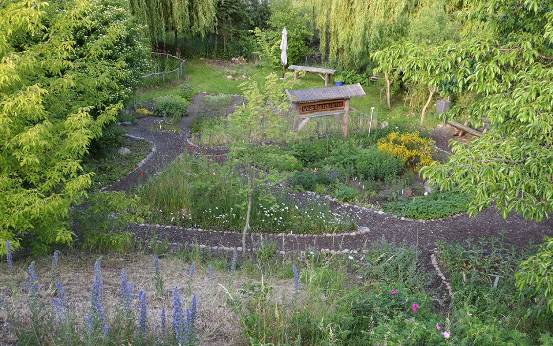garten, © Wildpflanzengarten Waren