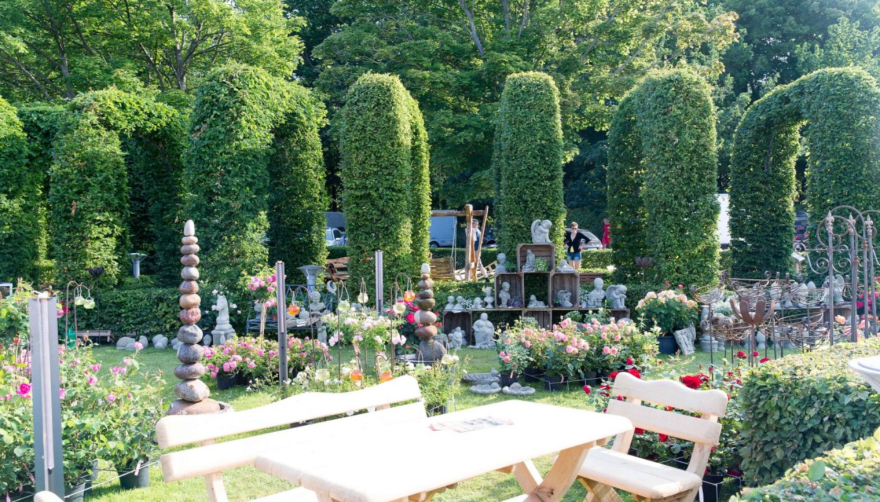 Zomertuin magie (c) Kurverwaltung Goehren Martin Stoever _2015_62P7042, © Kurverwaltung Goehren / Martin Stoever