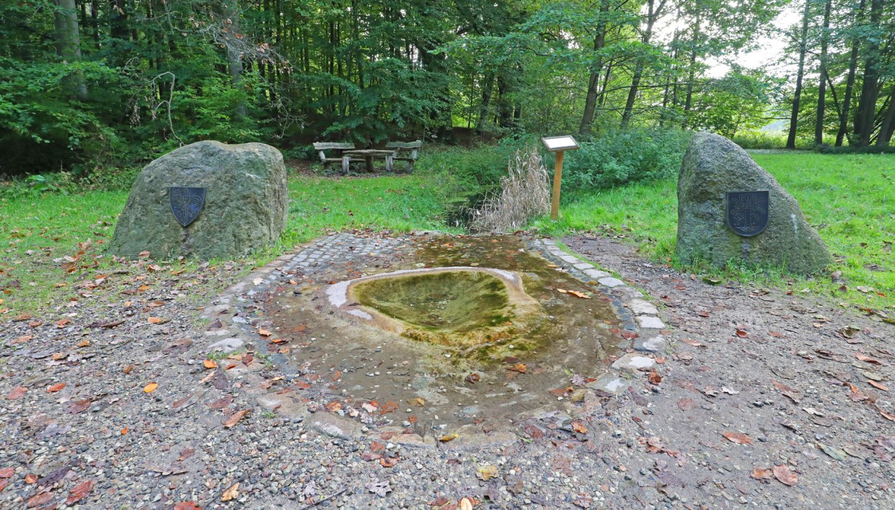 Havel spring_2, © TMV/Gohlke