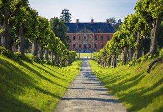 Festonallee zum Schloss Bothmer // © SSGK MV / Timm Allrich Festonallee zum Schloss Bothmer // © SSGK MV / Timm Allrich