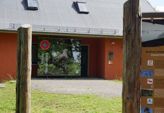 Ausstellung zu V&ouml;geln und ihren Federn // &copy; Wiebke D&ouml;bbert